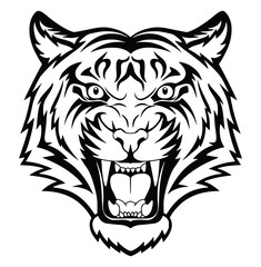 Tiger's Fierce Gaze: A powerful and commanding portrait of a tiger's head in striking black and white, showcasing its intense stare and imposing presence.