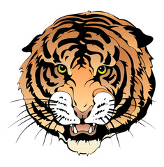 Fierce Gaze of a Tiger: A close-up illustration reveals the intense stare of a powerful tiger, showcasing its bold stripes, formidable teeth, and captivating eyes.