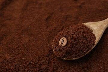Instant coffee powder, bean and spoon, closeup. Space for text