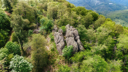Ancient Volcanic Rocks in Povlen Mountain Forest