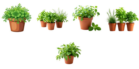 Aromatic potted herbs in terracotta pots including basil mint parsley and thyme arranged on a transparent background for versatile usage in design and presentation