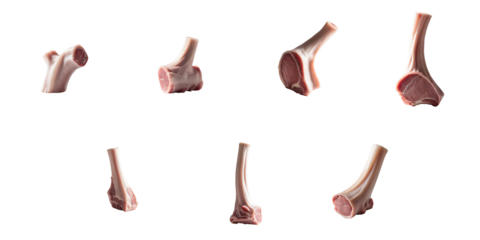 Raw veal ribs displayed from multiple angles on a transparent background highlighting texture and cut of meat suitable for culinary presentations or butchery references