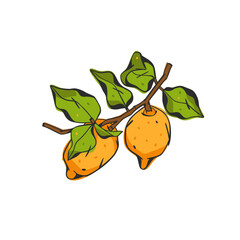 Hand drawn abstract vector graphic illustration collection with stylized lemon branch fruit in cartoon drawing style.Trendy modern juicy fruit design concept.Vector line fruit symbol icon.