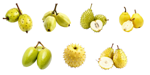 Soursop fruits displayed on a transparent background featuring whole and sliced varieties showcasing different shapes and textures of the fruit pod.