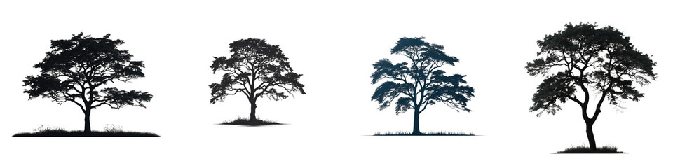 Silhouette tree brush design set with variation in color and shape on transparent background, isolated tree illustrations with clipping path and alpha channel for graphic use.
