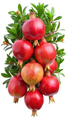Obraz premium Beautiful vertical arrangement of pomegranates with vibrant green leaves against a white background