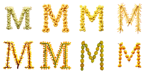 Alphabet letter M created using various arrangements of Leucaena leucocephala flowers on a transparent background featuring multiple styles and colors of the flower arrangement