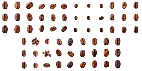 Collection of assorted coffee beans arranged in various orientations on a transparent background highlighting rich brown colors and diverse shapes of the beans.