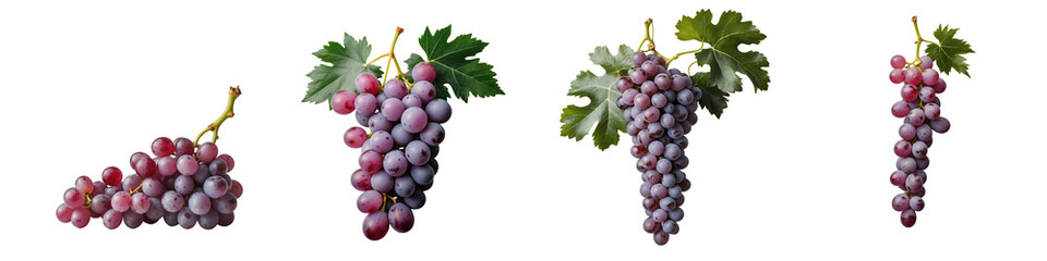 Fototapeta premium Various bunches of ripe purple grapes with green leaves isolated on a transparent background illustrating different angles and arrangements.