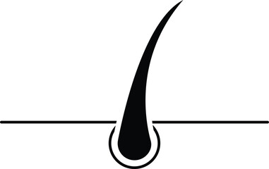 Hair icon, Hair skin icon. Vector illustration