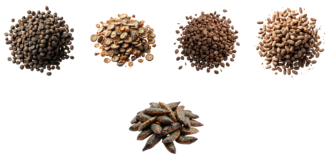 Various types of fish scales arranged in small piles along with seed-like fragments on a transparent background, isolated to highlight unique textures and shapes.