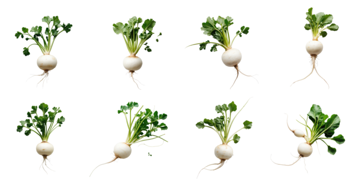 Collection of isolated fresh white radishes with green leaves arranged in a grid pattern on a dark background highlighting their textures and shapes suitable for food and agriculture themes