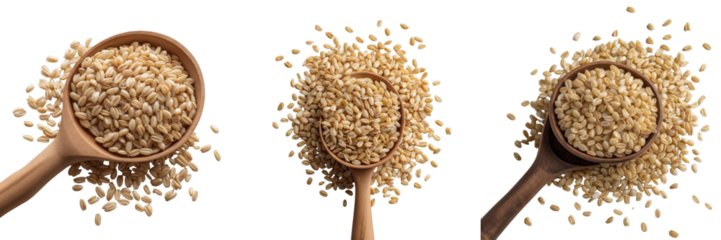 Raw pearl barley groats in wooden scoops with scattered grains on transparent background showcasing healthy organic cereals for nutritious meals