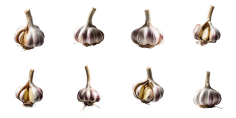 Whole unpeeled garlic bulbs arranged in a grid format on a dark background showcasing various angles and perspectives for detailed examination of texture and shape