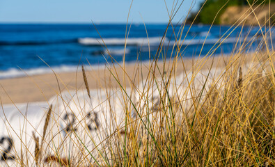 Am Strand von Göhren, Rügen, Mecklenburg-Vorpommern, Deutschland