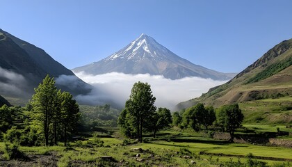 Fototapeta premium Lush valley with a snow-capped mountain peak.