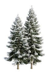 christmas tree isolated on white background