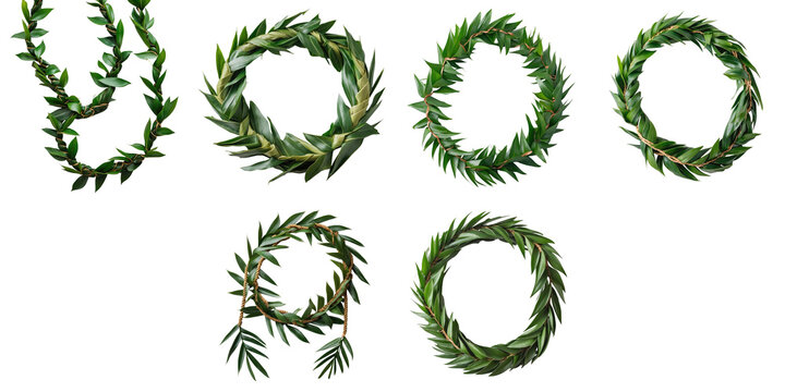 Double twist Maile-style Ti Leaf Lei collection isolated on transparent background featuring six distinct floral arrangements ideal for special occasions like graduations weddings and anniversaries...