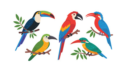 Colorful Exotic Birds Vector Illustration: Toucan, Macaw, and Kingfisher Set