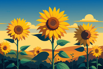 Fototapeta premium sunflower field in summer
