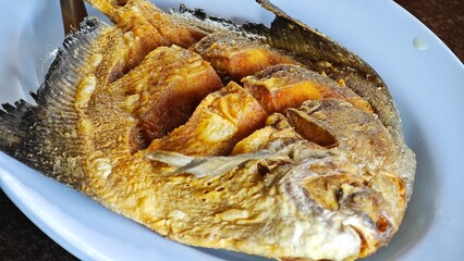 Deep fried gray pomfret fish.
