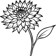 Outlined Dahlia Flower with Stem and Leaf, Black and White Illustration for Coloring Pages
