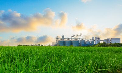 Industrial factories and green rice fields in the morning,View of a factory in the middle of a green farmland in the early morning twilight ~ Factory pipes polluting air in a silent morning, a serious