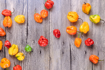Colorful habanero peppers in red, orange, yellow, green are beautifully arranged on rustic wood.