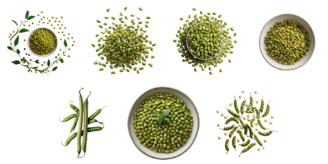 Assorted green mung beans and moong dal in various forms including whole beans, pods, and seeds arranged on a dark background with isolated elements