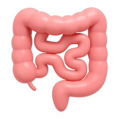 human intestines 3d render icon isolated on transparent background cutout