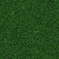 background and texture of green grass field