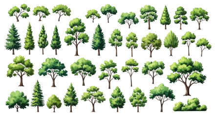Collection of Diverse Green Trees Illustrations for Design Projects