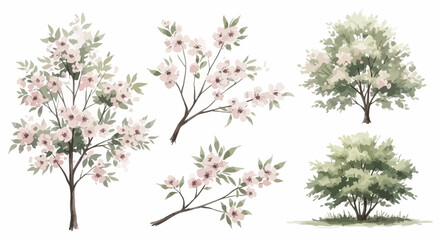 Elegant Watercolor Blossom Trees and Branches Botanical Illustrations for Design