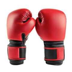 MMA Gloves, MMA fighters in professional boxing ring, isolated on transparent background
