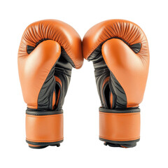 MMA Gloves, MMA fighters in professional boxing ring, isolated on transparent background