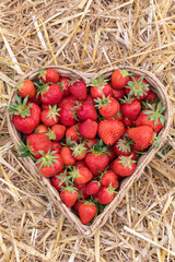 Erdbeeren in Herzform im Korb auf dem Stroh.