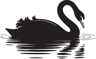 black swan vector illustration