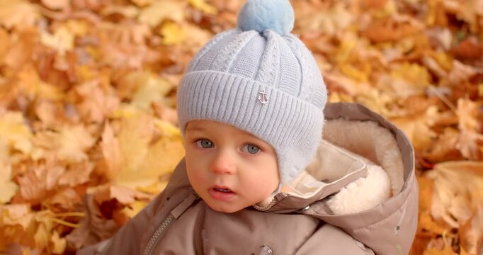 A cute baby wearing a bright blue hat is joyfully sitting on a colorful bed of autumn leaves, capturing a delightful and playful outdoor moment during the beautiful fall season