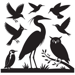 Collection of bird silhouettes heron owl hummingbird penguin silhouette