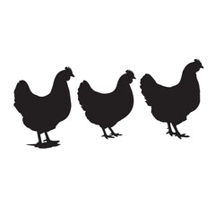 Elegant Black Silhouettes of Three Chickens Farm Animals Poultry Design Element