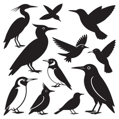 Elegant Black Bird Silhouettes Collection Perfect for Nature Designs or Wildlife Illustrations