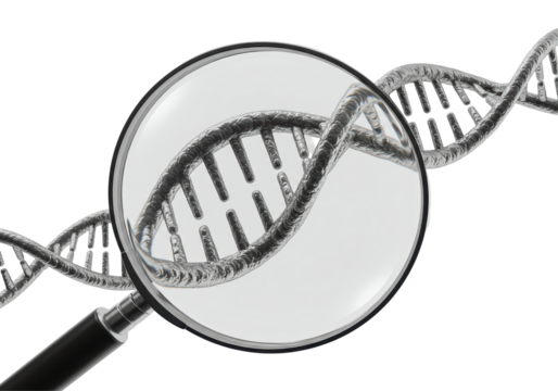 Isolated DNA Strand Under Magnifying Glass