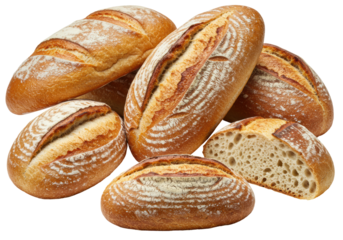 Isolated Assortment of Crusty Sourdough Breads