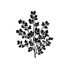 Illuminated Silhouette of a Flowering Shrub at Night