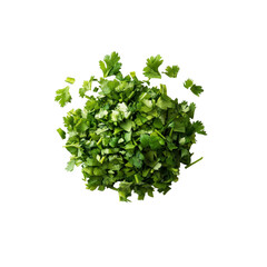 Obraz premium Freshly Chopped Cilantro, Green Herb Pile, Culinary Ingredient