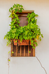 Vertical Shot of Wooden Window with Hanging Clay Pot