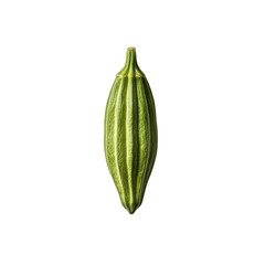Close-up of a Single Green Caraway Seed Pod Against a Black Background
