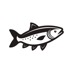 Trout Fish With Vector Outline Illustration