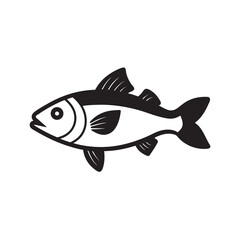 Sea Bass Fish With Vector Outline Illustration