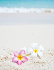 Fototapeta premium Serene and Exotic Atmosphere- The pristine white sandy beach adorned